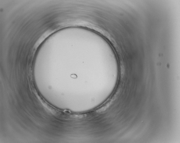 X0000070381521200606301908