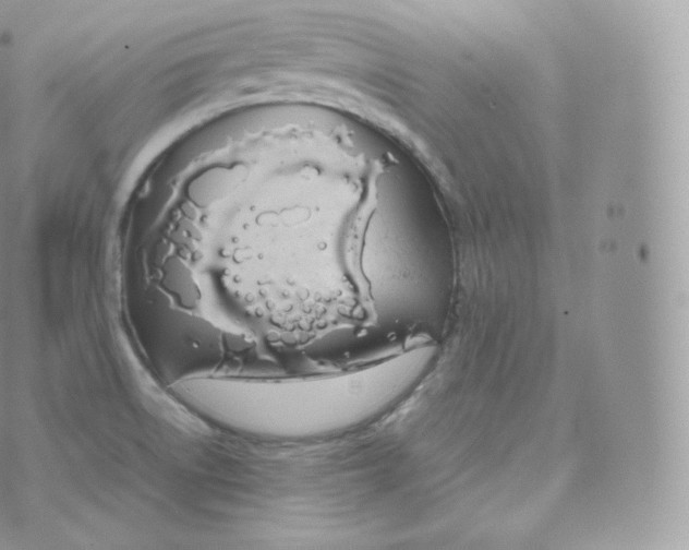 X0000070381522200606301908