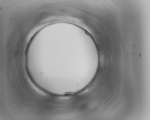 X0000070381523200606301908