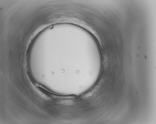 X0000070381525200606301908