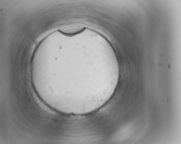 X0000070381526200606301908