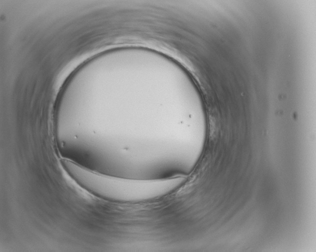 X0000070381527200606301908