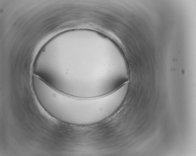 X0000070381528200606301908