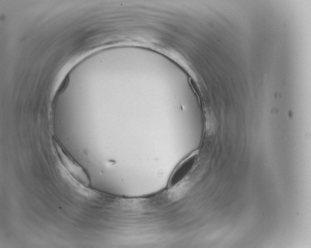 X0000070381532200606301909