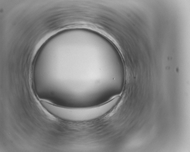 X0000070381533200606301909