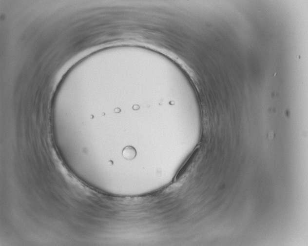 X0000070381534200606301909