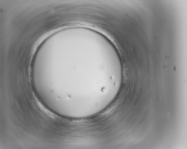 X0000070381535200606301909