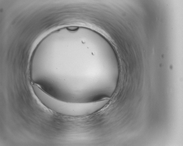 X0000070381536200606301909