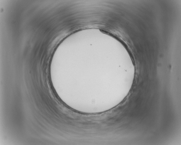 X0000070380001200607072206