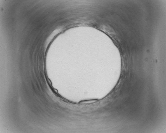 X0000070380003200607072205