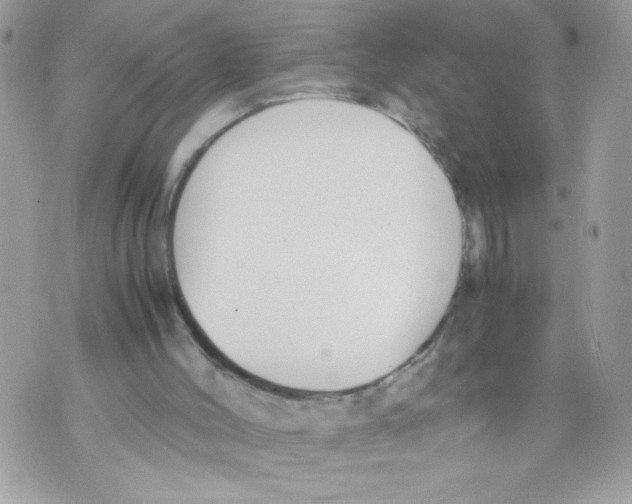 X0000070380004200607072205