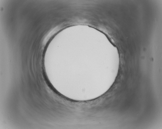 X0000070380007200607072205