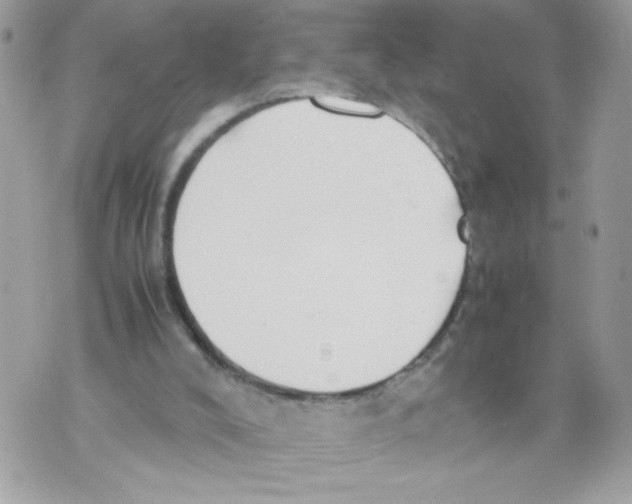 X0000070380008200607072205