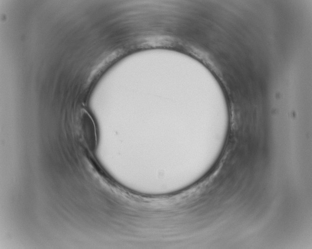 X0000070380010200607072205