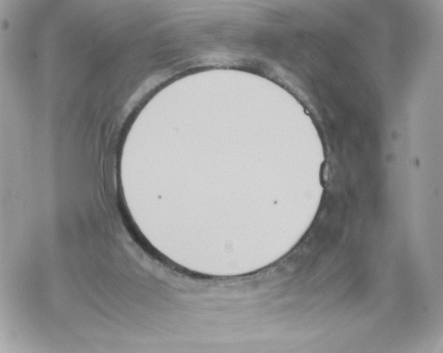 X0000070380011200607072205