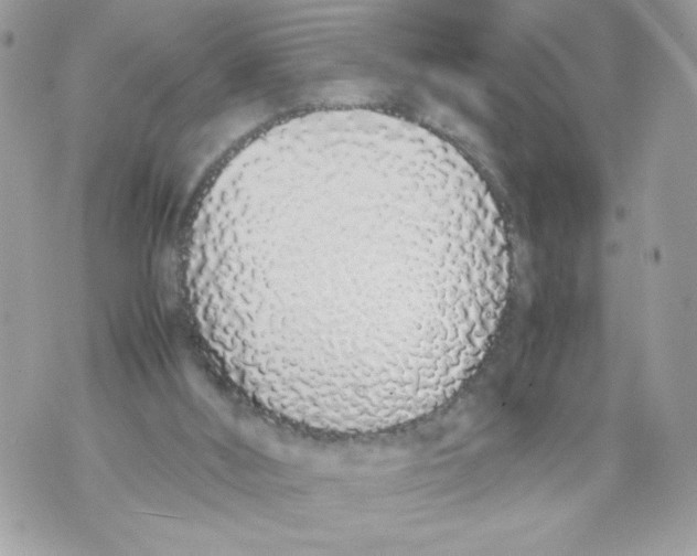 X0000070380012200607072205