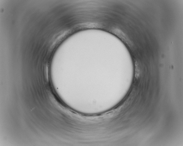 X0000070380014200607072205