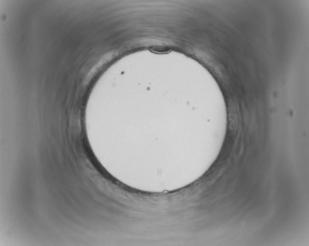 X0000070380015200607072205