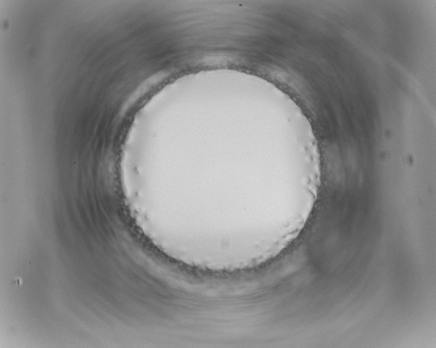 X0000070380016200607072205