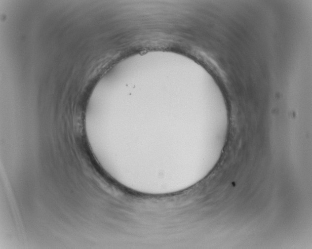 X0000070380017200607072205