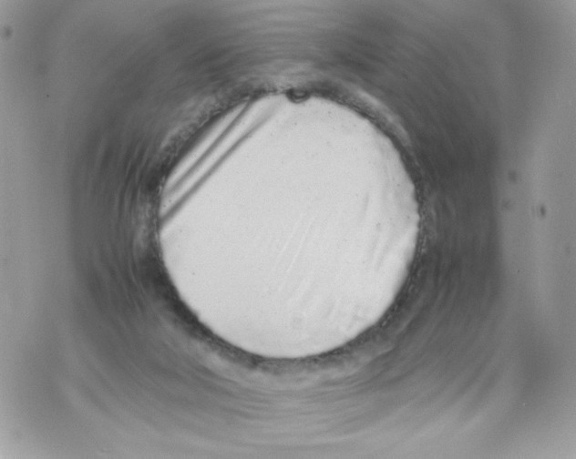 X0000070380018200607072205