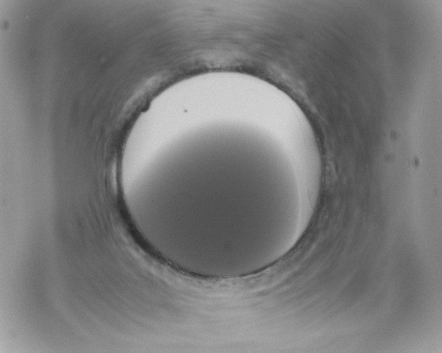 X0000070380019200607072205