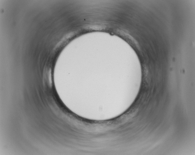 X0000070380020200607072205