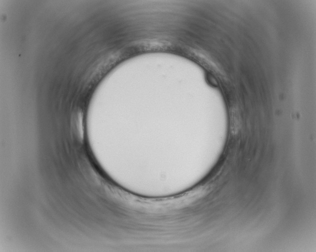 X0000070380022200607072205