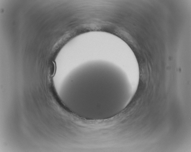 X0000070380023200607072205