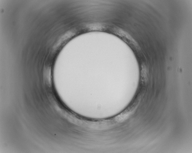 X0000070380024200607072205