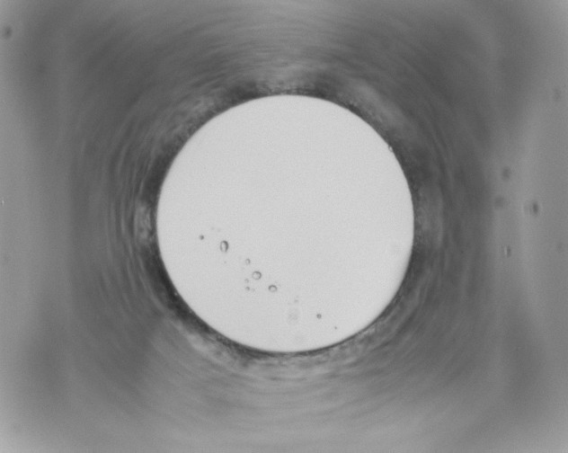 X0000070380025200607072205