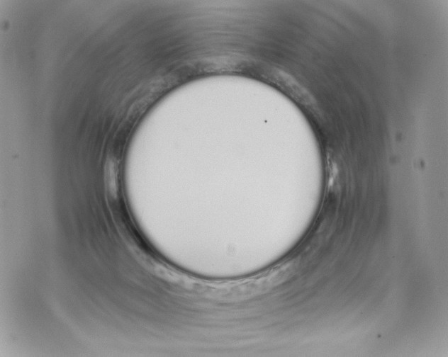 X0000070380026200607072205