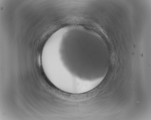 X0000070380027200607072205