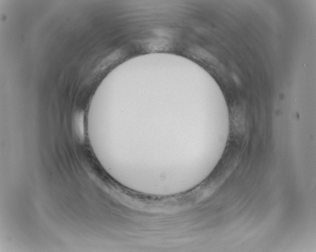 X0000070380028200607072205