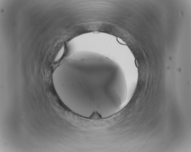 X0000070380031200607072205