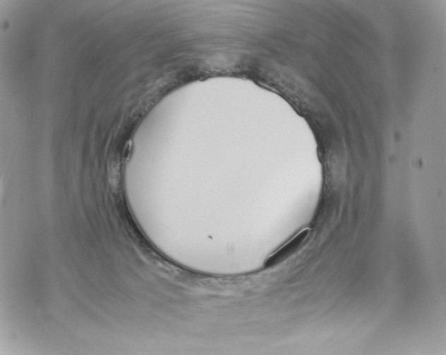 X0000070380033200607072205