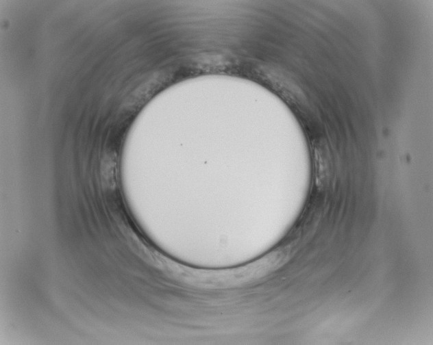 X0000070380034200607072205