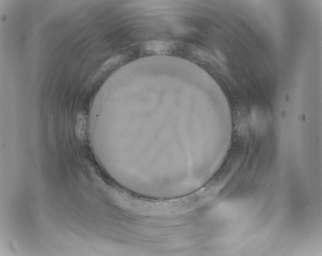 X0000070380036200607072205