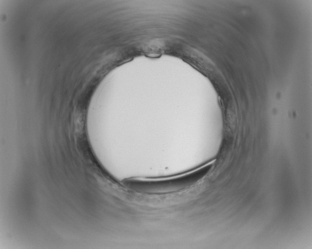 X0000070380037200607072205