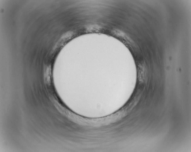 X0000070380038200607072205