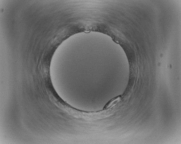 X0000070380039200607072205