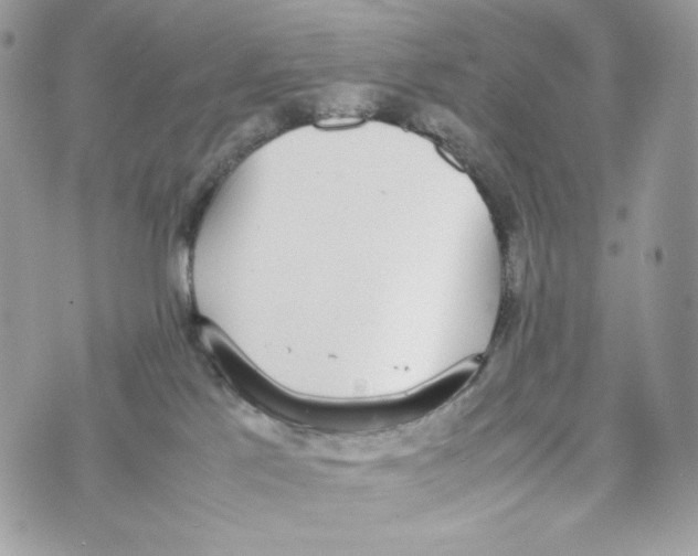 X0000070380041200607072205