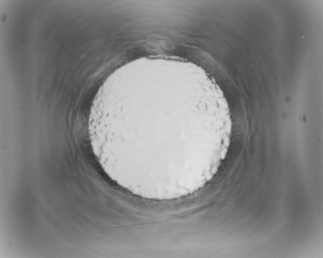 X0000070380043200607072205