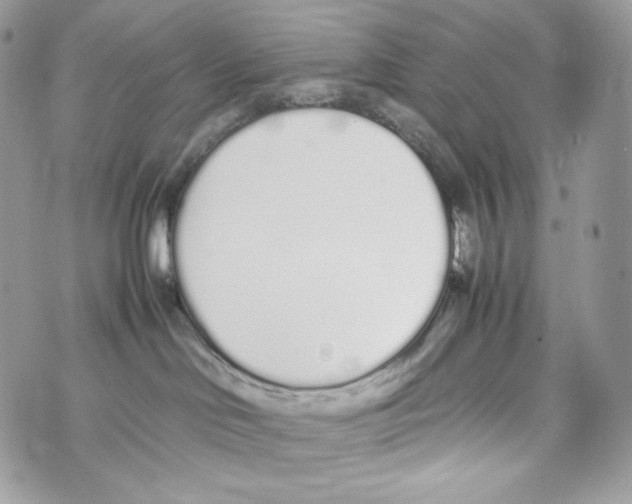 X0000070380046200607072205