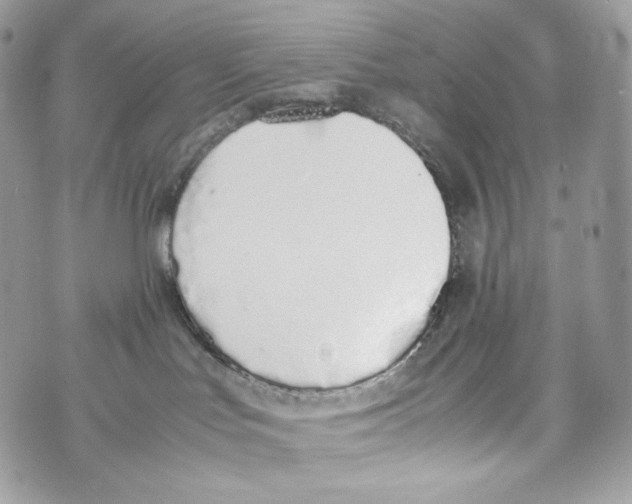 X0000070380047200607072205