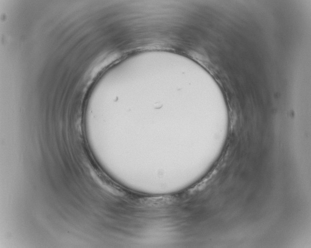 X0000070380050200607072204