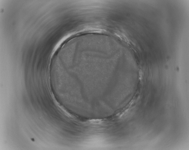 X0000070380052200607072204