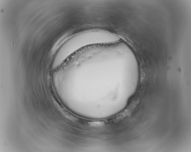 X0000070380053200607072204