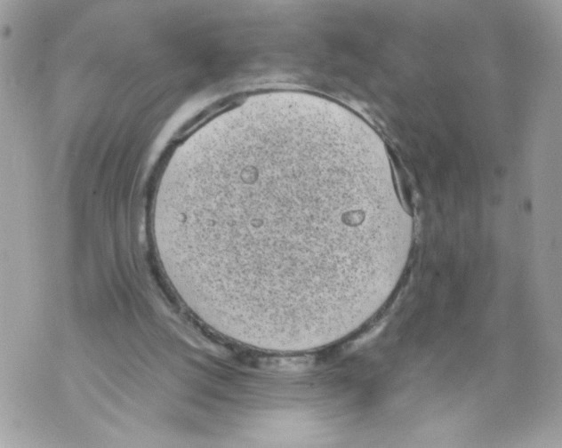 X0000070380056200607072204