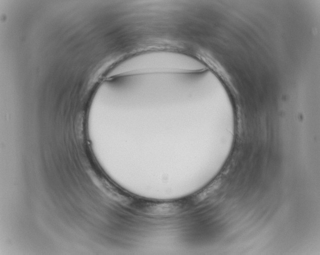 X0000070380058200607072204